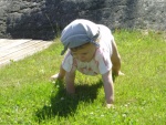 Its no fun crawling in the gras